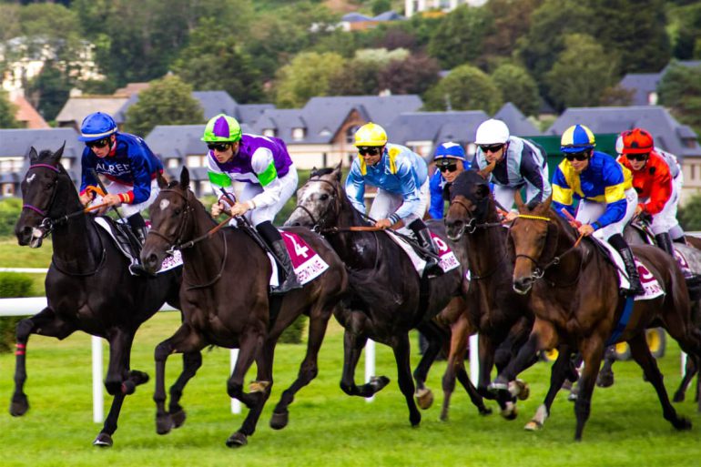 geld verdienen paardensport