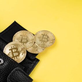 portemonnee met bitcoins