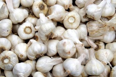 knoflook
