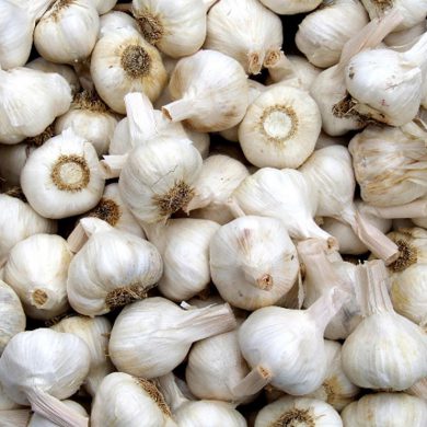 knoflook
