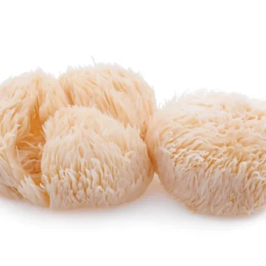 lion's mane paddestoelen