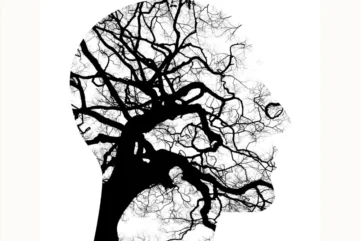 Afbeelding van een hoofd met daarin een wirwar van takken.