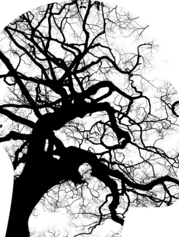 Afbeelding van een hoofd met daarin een wirwar van takken.