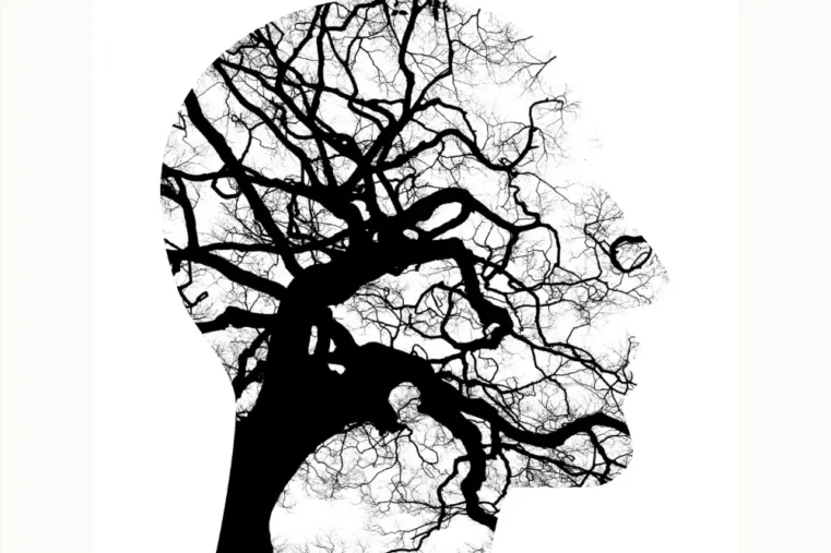 Afbeelding van een hoofd met daarin een wirwar van takken.
