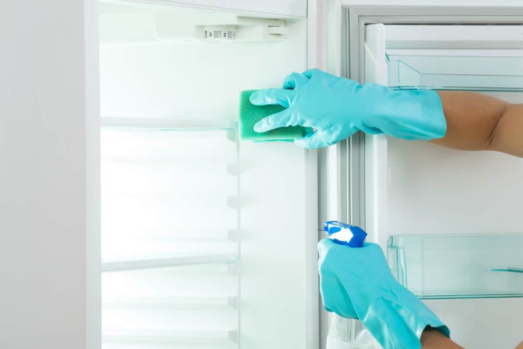 Sluier Kreet Kijker Je koelkast schoonmaken, hoe en hoe vaak doe je dat? | Huishoud rubriek