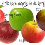 hollandse appels in de herfst
