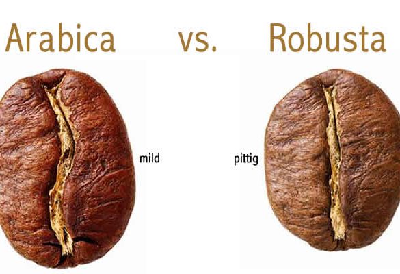 verschil arabica en robusta