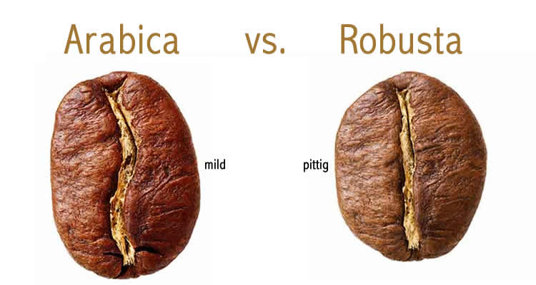 verschil arabica en robusta