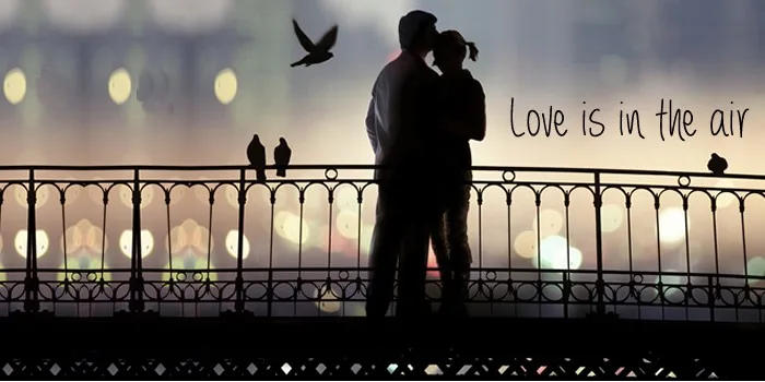 feiten over de liefde