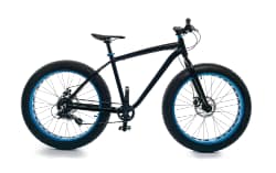 elektrische fatbike
