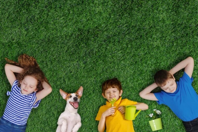 kunstgras kinderen en hond