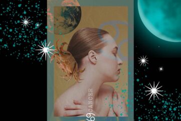 eigenschappen kreeft