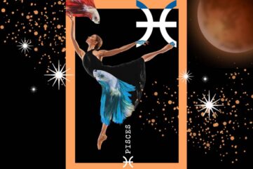 eigenschappen vissen