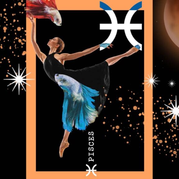 eigenschappen vissen