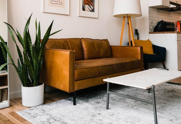 vloerkleed woonkamer