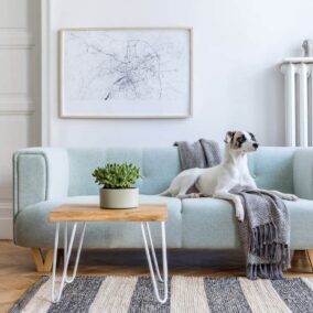 stylen met plaid