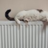 verwarming cv
