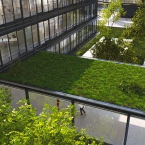 dak begroeid met gras en groene planten