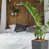 Slaapkamer met planten en houten wanddecoratie