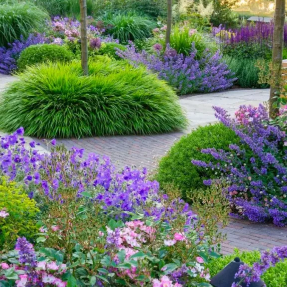 Kleurrijke tuin met bestrating en paarse en roze bloemen