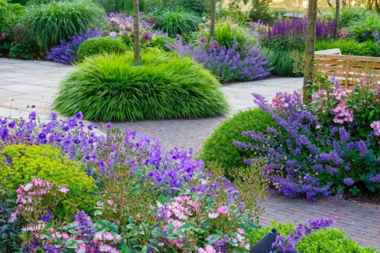 Kleurrijke tuin met bestrating en paarse en roze bloemen