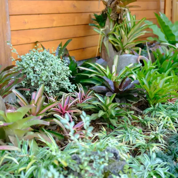 Weelderige tuin met diverse planten en potten