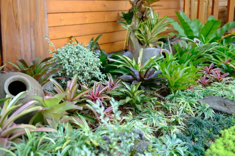 Weelderige tuin met diverse planten en potten