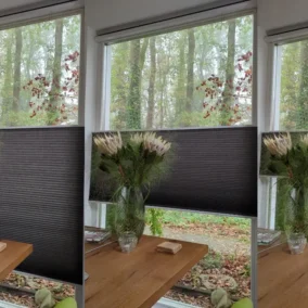 Zwarte plisségordijnen voor raam met boszicht