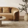 Moderne bruine bank met ronde salontafel en plant