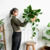 kunstplanten
