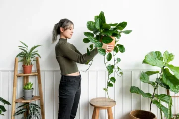 kunstplanten