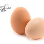 internationale dag van het ei