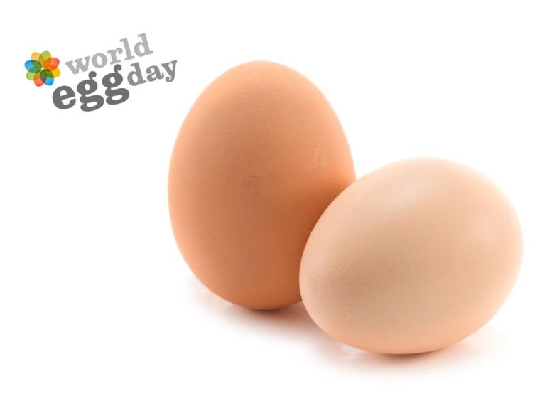 internationale dag van het ei