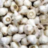 hele berg knoflookbollen