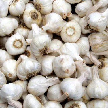 hele berg knoflookbollen